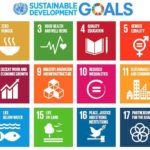 The UN Sustainable Development Goals